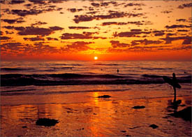 Endless summer
