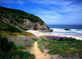 Old strands beach, dana point