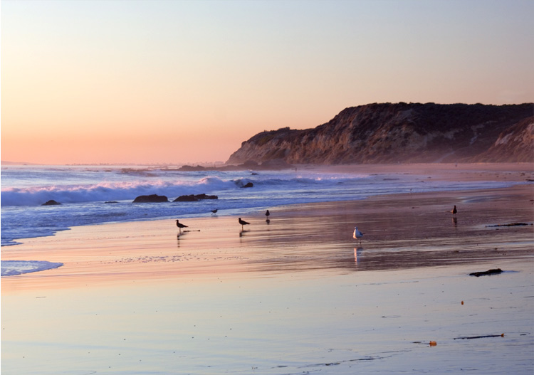 crystal cove newport beach